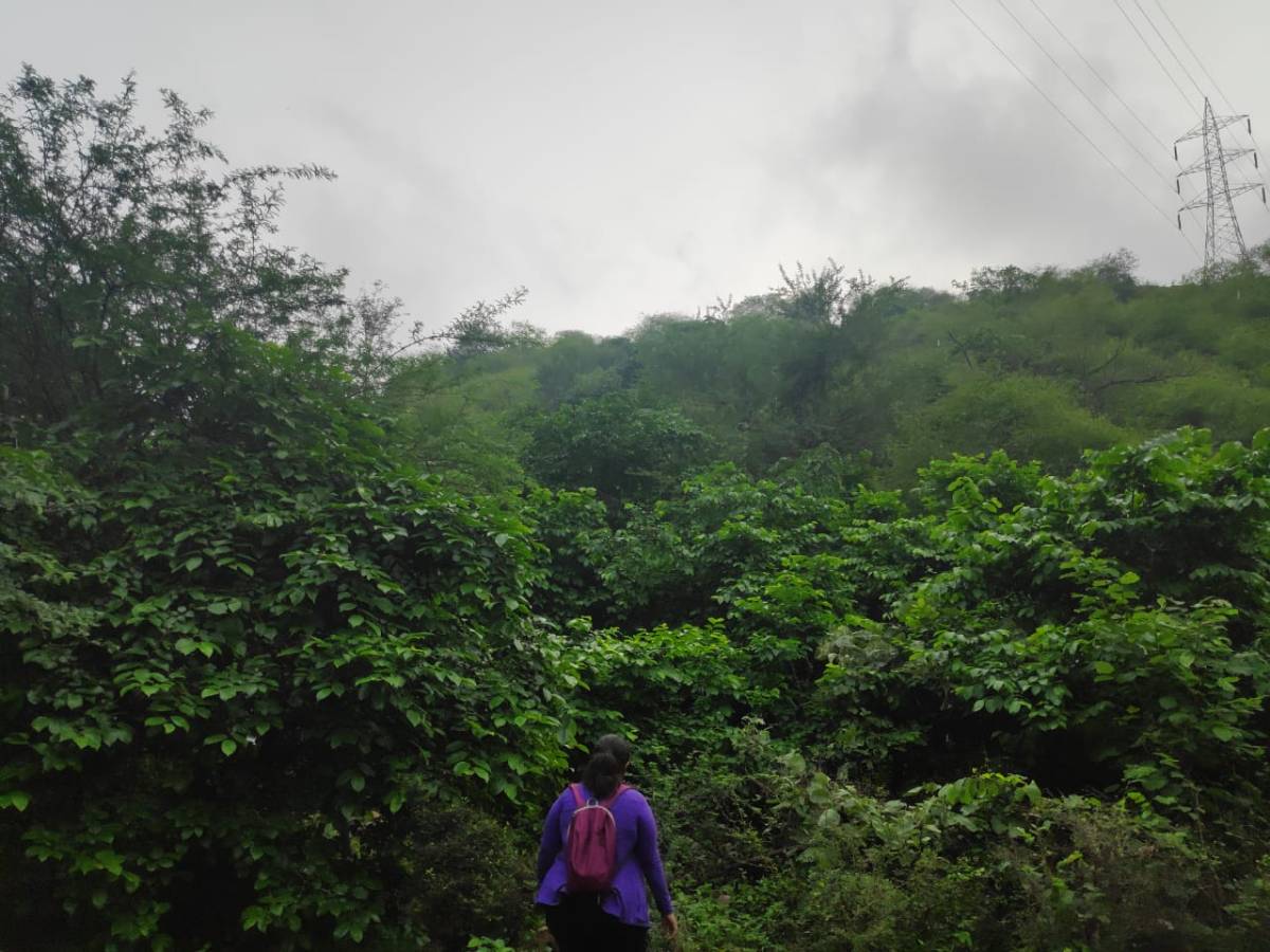 Submission to Joint Parliamentary Committee on FCA Amendment Bill&nbsp;2023